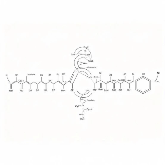 CAS 115966-23-9 Urodilatin